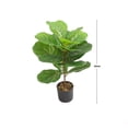 thumbnail image 2 of PLANTA ARTIFICIAL FICUS PANDURATA 60 cm, 2 of 2
