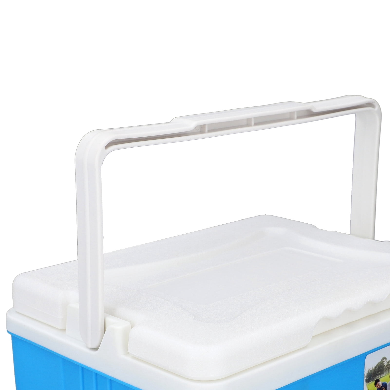 BIMZUC 10L Hard Sided Cooler Box High Performance Insulated Ice Chest with Heavy Duty Handle for Outdoor Camping Picnic Fishing Beach Drinks and Beer, Blue (11.4x8.9x10.4 Inches / 29x22.5x26.5 cm)
