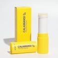 thumbnail image 2 of the SAEM Calamansi Pore Stick Cleanser, 2 of 3