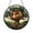 Acrylic 3.5 Inch, variant on Woodland Treehouse Suncatcher – Stained Glass Style Window Hanging Decor