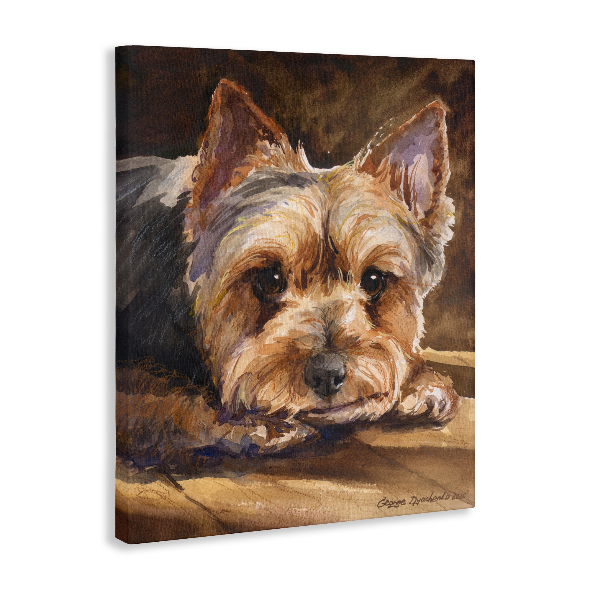 Stupell Industries Yorkshire Terrier Portrait Canvas Wall Art, design by George Dyachenko