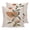 Beige, variant on Bohemian Pillow Covers 16x16 Set of 2, Modern Abstract Boho Leaves Beige Middle Century Throw Pillow Covers Decorative Couch Cushion Cover, Microfiber Soft Pillowcases for Bedroom Living Room Sofa