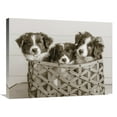 thumbnail image 1 of Global Gallery's 'What a Cute Bundle' By Jim Dratfield Stretched Canvas Wall Art, 1 of 1