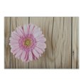 thumbnail image 1 of Rustic Cutting Board, Large Gerbera Daisy on Oak Tree Background Dramatic South American Exotic Photo, Decorative Tempered Glass Cutting and Serving Board, Small Size, Pink Brown, by Ambesonne, 1 of 1