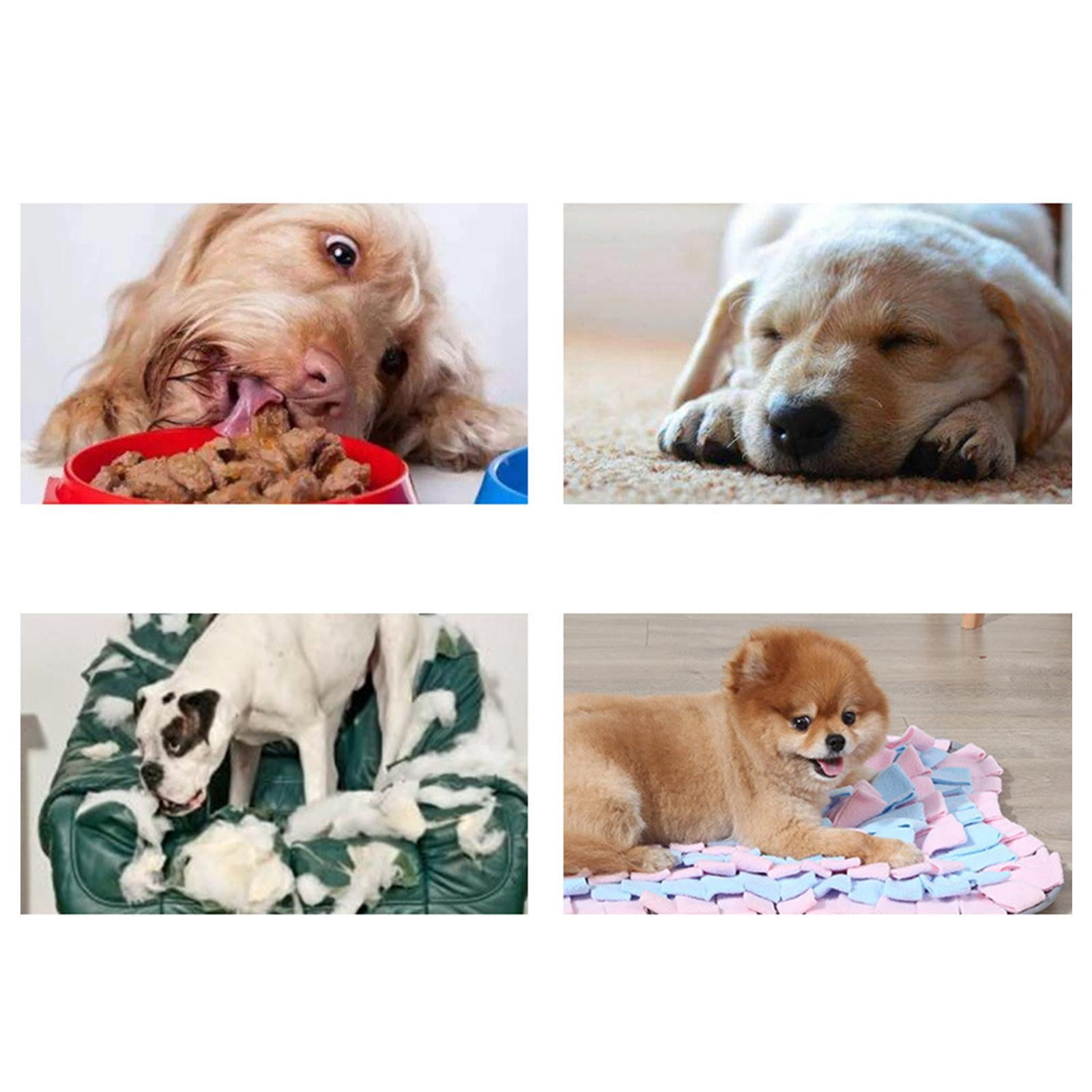 Fzaqwen Cat Dog Sniffing Pads Puzzle Toys Training Nosework Blanket Cushion Use Sniffing Round Pink Blue