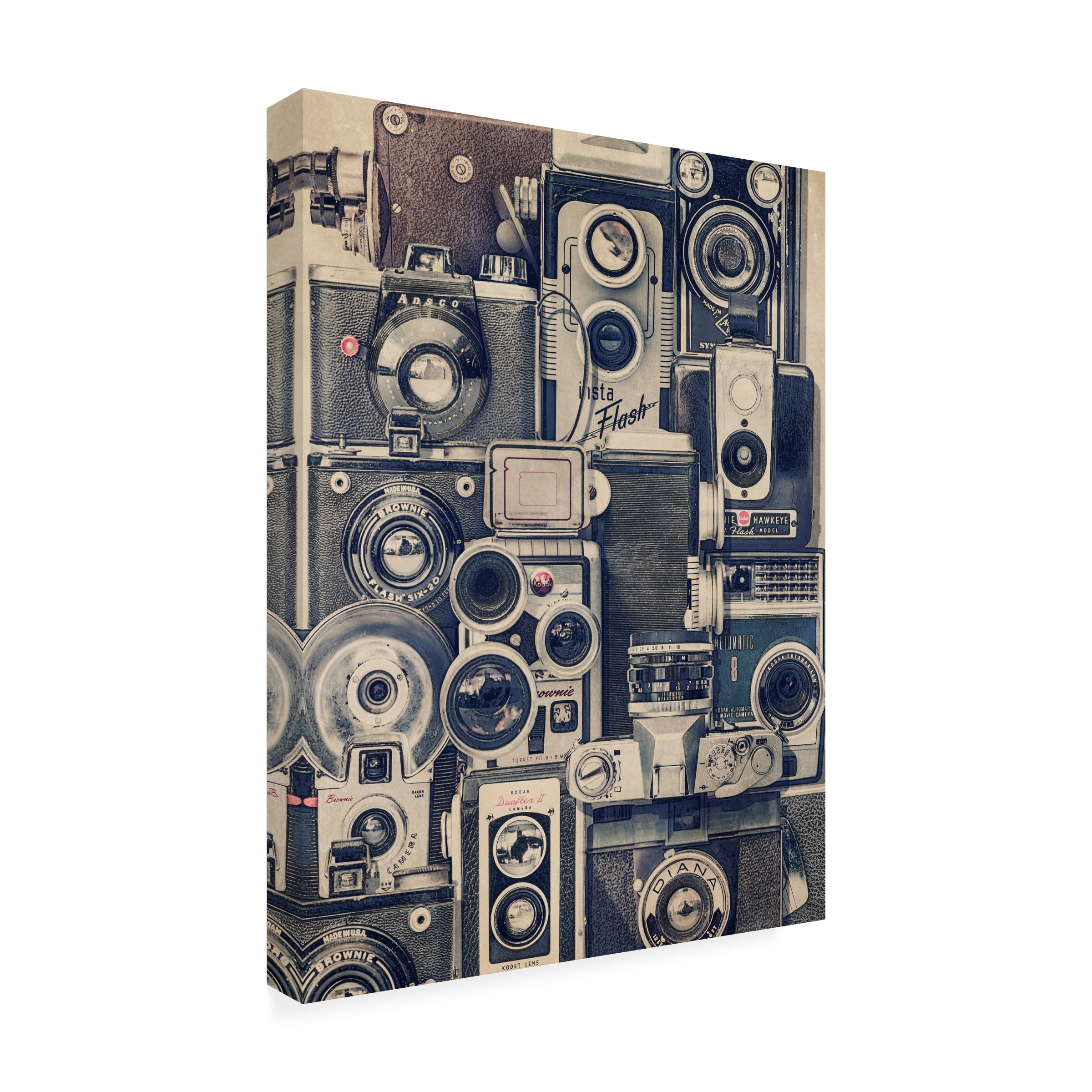 Thomas Brown 'Vintage Cameras' Canvas Art