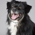 thumbnail image 2 of Collier pour Chien Collier Ajustable Collier pour Chat Collier en Strass pour Chien, 2 of 9