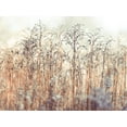 thumbnail image 2 of Frank, Assaf 24x19 White Modern Wood Framed Museum Art Print Titled - Grass Reeds, 2 of 4