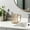 175#Brown, variant on Mouthwash Cup With Handle, Lightweight Rinse Cup Ergonomic Easy Grip Drinking Tumbler Durable Daily Use Dishwasher Safe, For Bathroom Travel Camping Gym Hotel Home Use