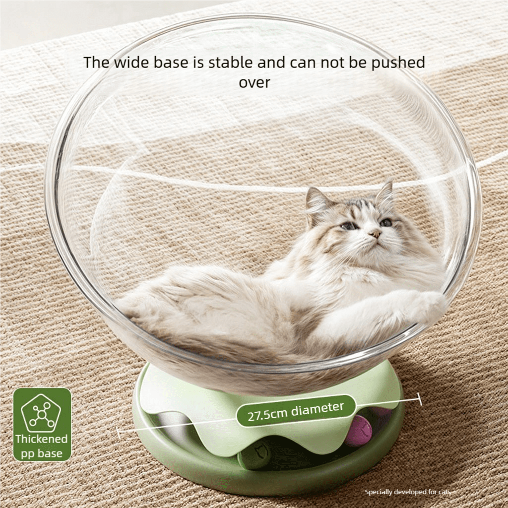 Transparent Space Capsule Cat Bed | All - Season, Play & Sleep Combo | Semi - Enclosed, for Kittens & Adult Cats | M & L Sizes