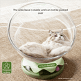thumbnail image 4 of Transparent Space Capsule Cat Bed | All - Season, Play & Sleep Combo | Semi - Enclosed, for Kittens & Adult Cats | M & L Sizes, 4 of 8