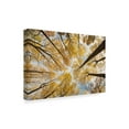 thumbnail image 2 of Trademark Fine Art 'Looking Up I' Canvas Art by Aledanda, 2 of 3