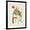 Black Frame, variant on Art.com Vintage Flowering Trees V Art Print by 0 Unknown, 12" x 16"