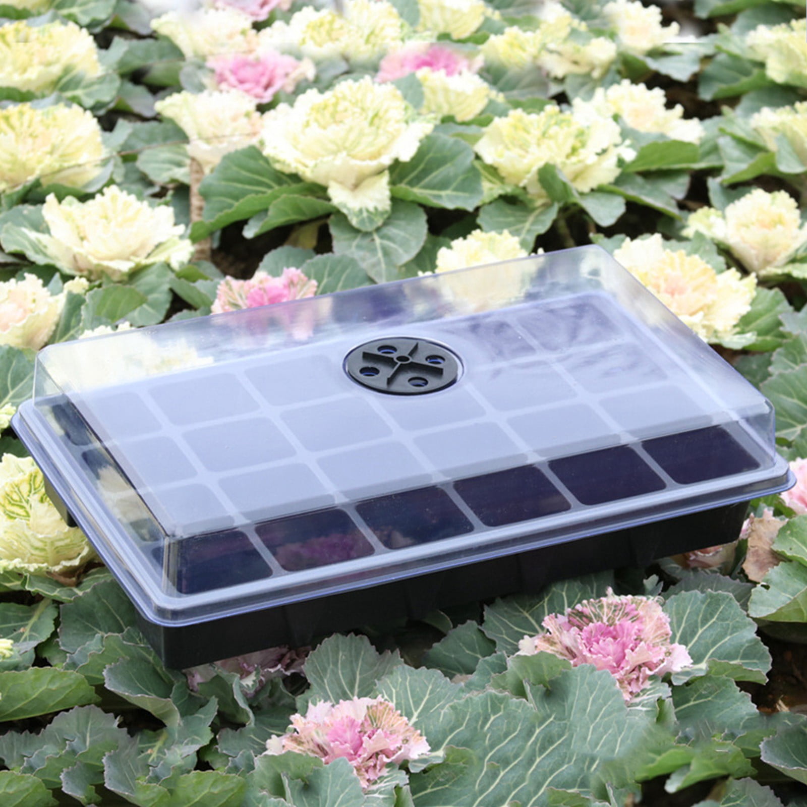 24 Cell Starter Kit with Clear Humidity Dome, Adjustable Ventilation Seedling Tray for Indoor Gardening, Reusable Propagation Tray with Drainage for Growing Herbs and Flowers