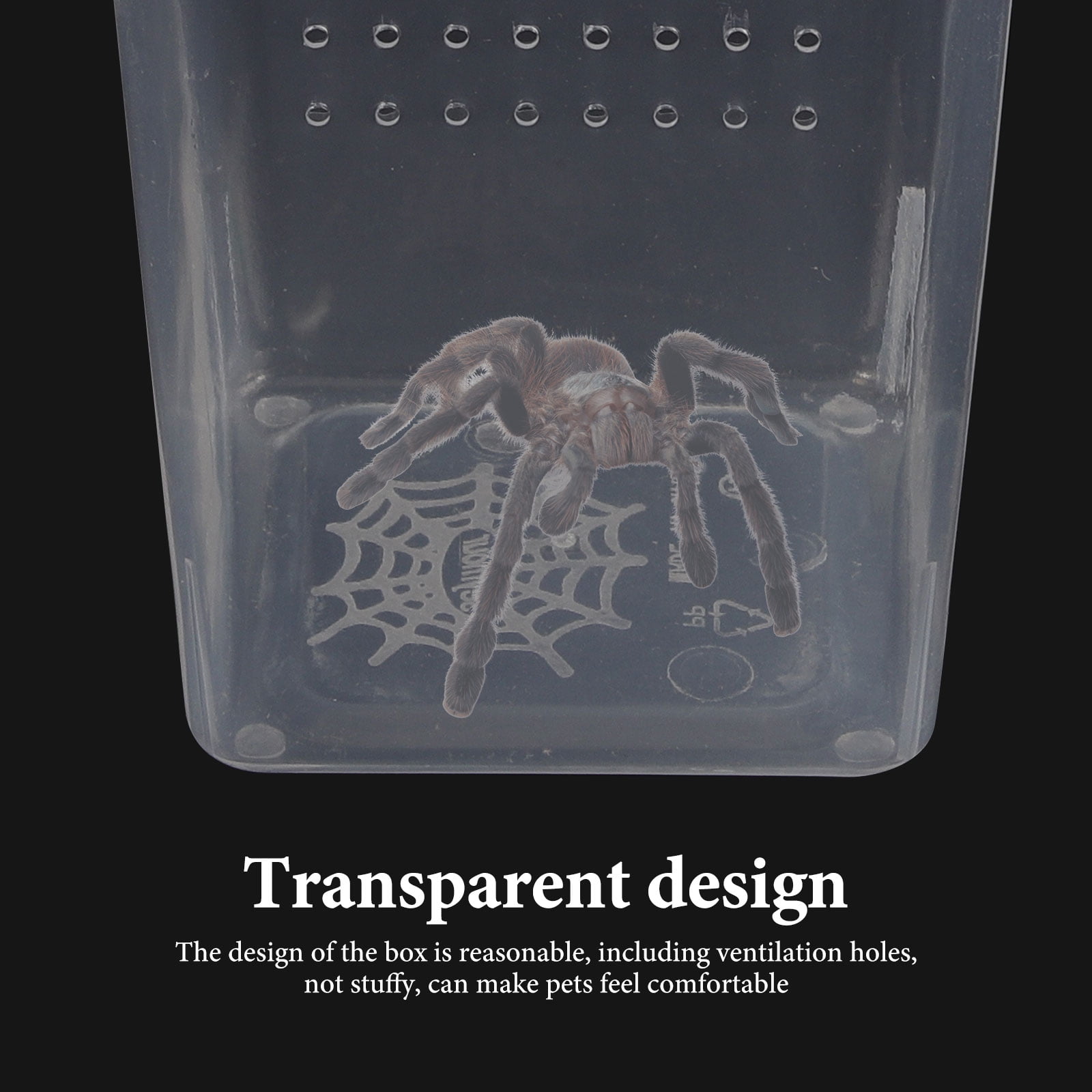 OULII Transparent Reptile Feeding Box with Breathable Holes for Small Pets and Insect Habitat Enclosure