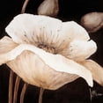thumbnail image 3 of Roseboom, Jettie 20x20 Black Modern Framed Museum Art Print Titled - Amazing poppies II, 3 of 5