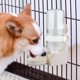 thumbnail image 5 of Dispensador de agua para animales pequeños, 350 ml de gran capacidad, dispensador automático de agua para conejos, bebedero colgante, para hámster, cobaya, conejo, rata, chinchilla, hurón, jerbo, 5 of 5