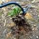 thumbnail image 3 of Multifunctional Manual Weeding Tool Household Planting Supplies for Garden Yard, 3 of 5