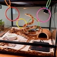 thumbnail image 4 of TIELUTT Interactive Playground Climbing Rings for Small Animals Enrichment Activity with Tunnels and Chew for Large Dogs Moving for Dogs Dogs Large Dogs Rope Medium Dog Big Dog for Large Dogs, 4 of 5