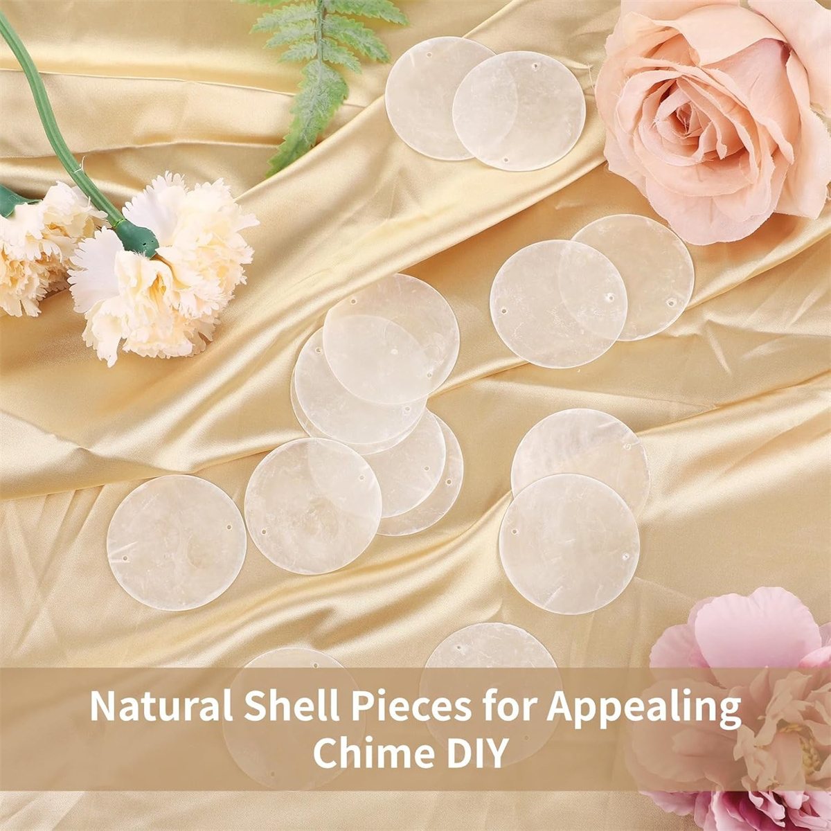 QZS Durable Shells Decor,2In Round Natural Shells with 2 Holes for Curtain,Set of 60,Portable DIY Decor for Garland,Craft,Wedding,Home