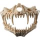 thumbnail image 1 of Máscara de Halloween Resina Media cara Cráneo blanco Máscara de miedo Tigre Dragón Dios Máscara de cosplay Máscara decorativa Máscara de terror Juego de roles para adultos Zhivalor  WXOTTO-CWY-0329, 1 of 5