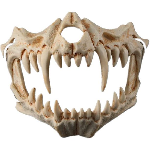 Máscara de Halloween Resina Media cara Cráneo blanco Máscara de miedo Tigre Dragón Dios Máscara de cosplay Máscara decorativa Máscara de terror Juego de roles para adultos Zhivalor WXOTTO-CWY-0329