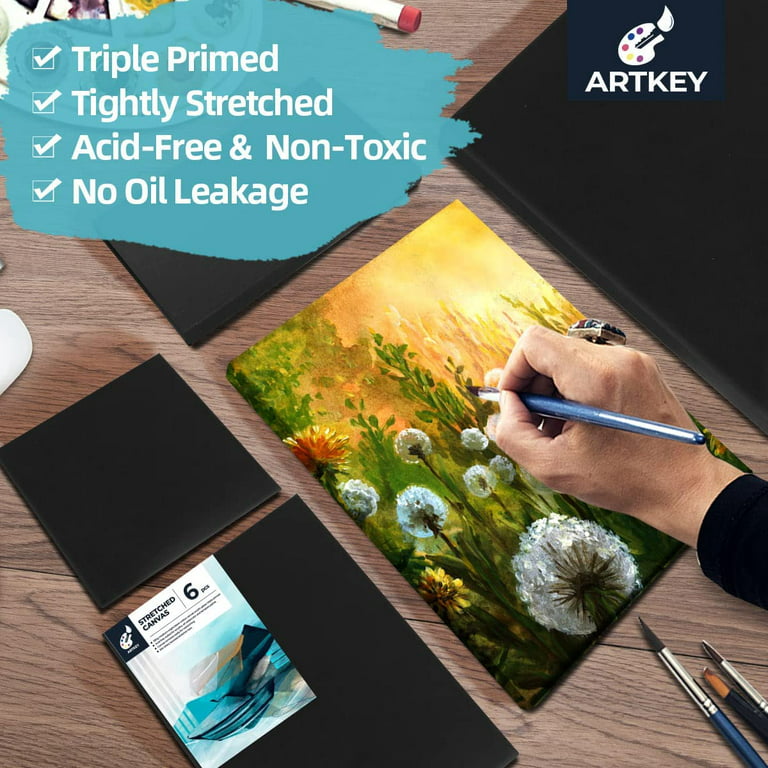 Artkey Pre Drawn Canvas For Painting, X 7” Printed Canvas To Paint Canvas  Set, Pack Of 39-3 Stretched Canvas, 24 Acrylic Paint Pots, Paintbrushes