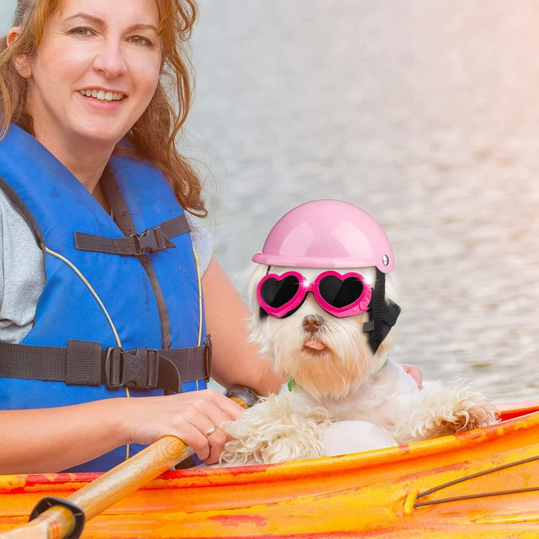 Crash Helmet Dog Biker Goggles Dog Carriers For Small Dogs Dog
