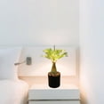 thumbnail image 1 of Lampara De Noche Tipo Palmera Con Luz Led Y Piedras Decorativas, 1 of 5