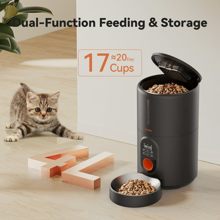 Auto pet feeder store walmart