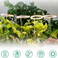 thumbnail image 3 of Brillar Luz de crecimiento de anillo de ángel, luz de anillo de crecimiento de plantas con enchufe USB, lámpara de crecimiento de plantas de interior - Promueve el crecimiento de las plantas, 3 of 5
