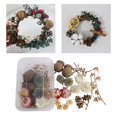 thumbnail image 3 of Flores Secas Reales para Artesanía Artesanal Mezclado Múltiples Flores Naturales para La Vela de Jabón Scrapbooking Bricolaje Resina Artesanía Joyería Aproximadamente 120g Soledad Flores secas prensadas, 3 of 10