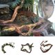 thumbnail image 3 of flexible anfibios vid jung escador vides terrario hábitat ornamento S Yuyangstore Repital Climbing Jungle Vine, 3 of 8