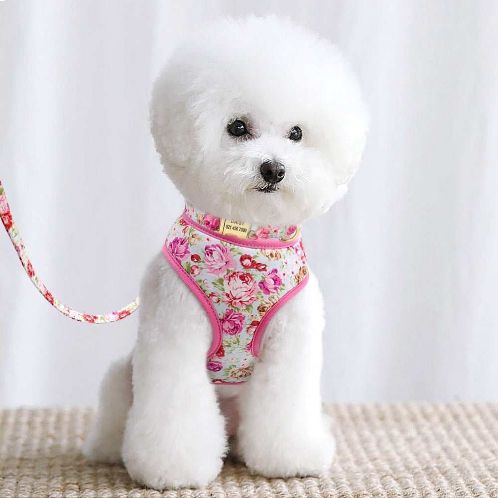 Pet Artist Floral Dog Harness Collar and Leash set With Custom Personalized Metal Buckle ID Nameplate