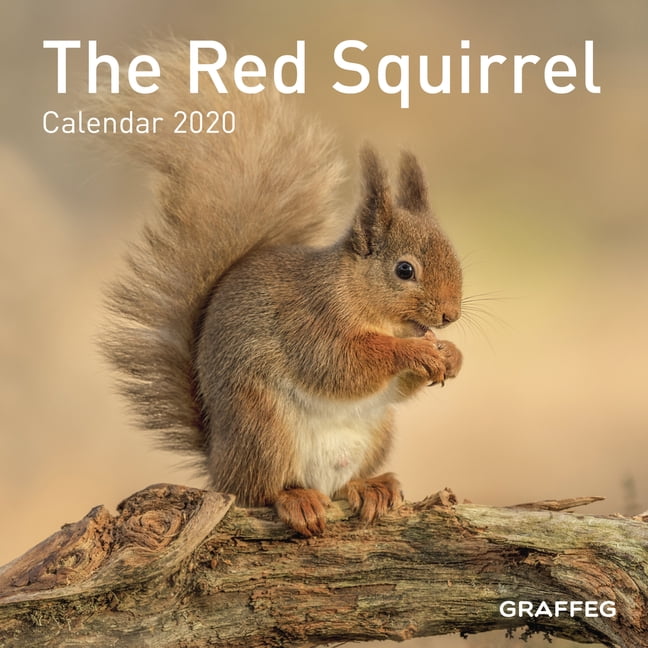 The Red Squirrel Calendar 2020 (Calendar)