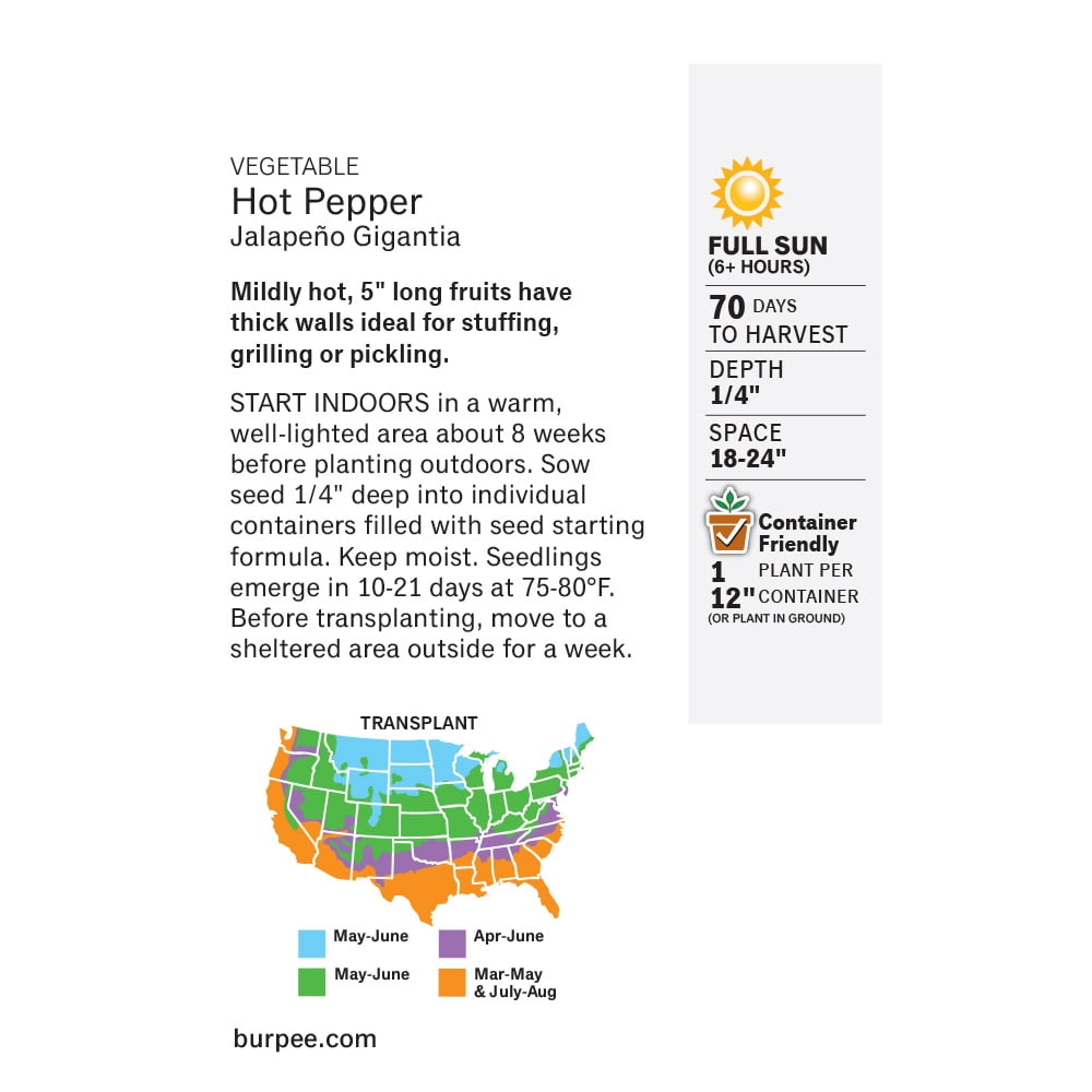 Burpee Gigantia Jalapeno Vegetable Seed, 1-Pack