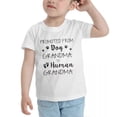 thumbnail image 3 of Promoted From Dog Grandma To Human Grandma Cute Toddler Tshirts for Boys Girls (White, Youth XL), 3 of 5