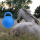 thumbnail image 5 of Pelota para masticar de alta resistencia, caballo , , goma, juguete para jugar al fútbol, ​​juguetes de campo estable con mango, suministros Macarena Los caballos juegan a la pelota, 5 of 8
