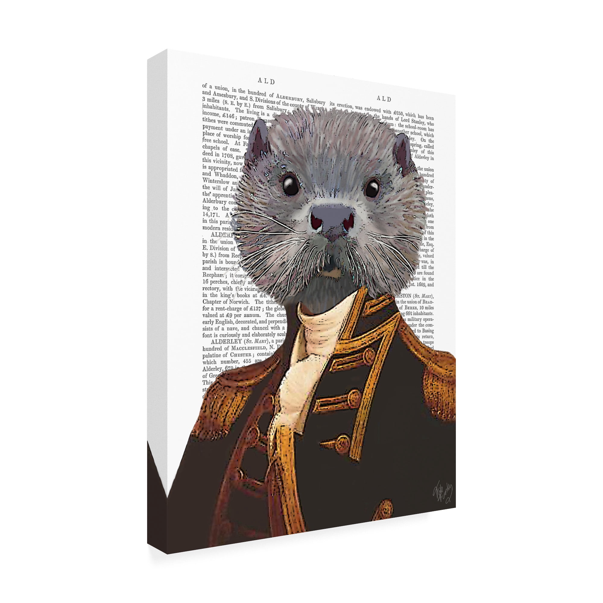 Trademark Fine Art 'Captain Otter' Canvas Art by Fab Funky