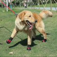 thumbnail image 4 of 4 juegos de botas para perros, zapatos para perros impermeables, botas para perros con suelas antideslizantes reforzadas por velcro reflectante y zapatos para perros al aire libre antideslizantes, 4 of 5