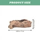 thumbnail image 2 of 1 maceta para plantas suculentas., 2 of 3