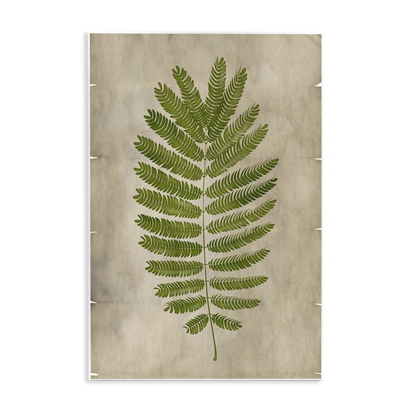 Stupell Industries Cottage Plant Drawing Parchment Green Design Wall Plaque Art, 10 x 15, by Ziwei Li