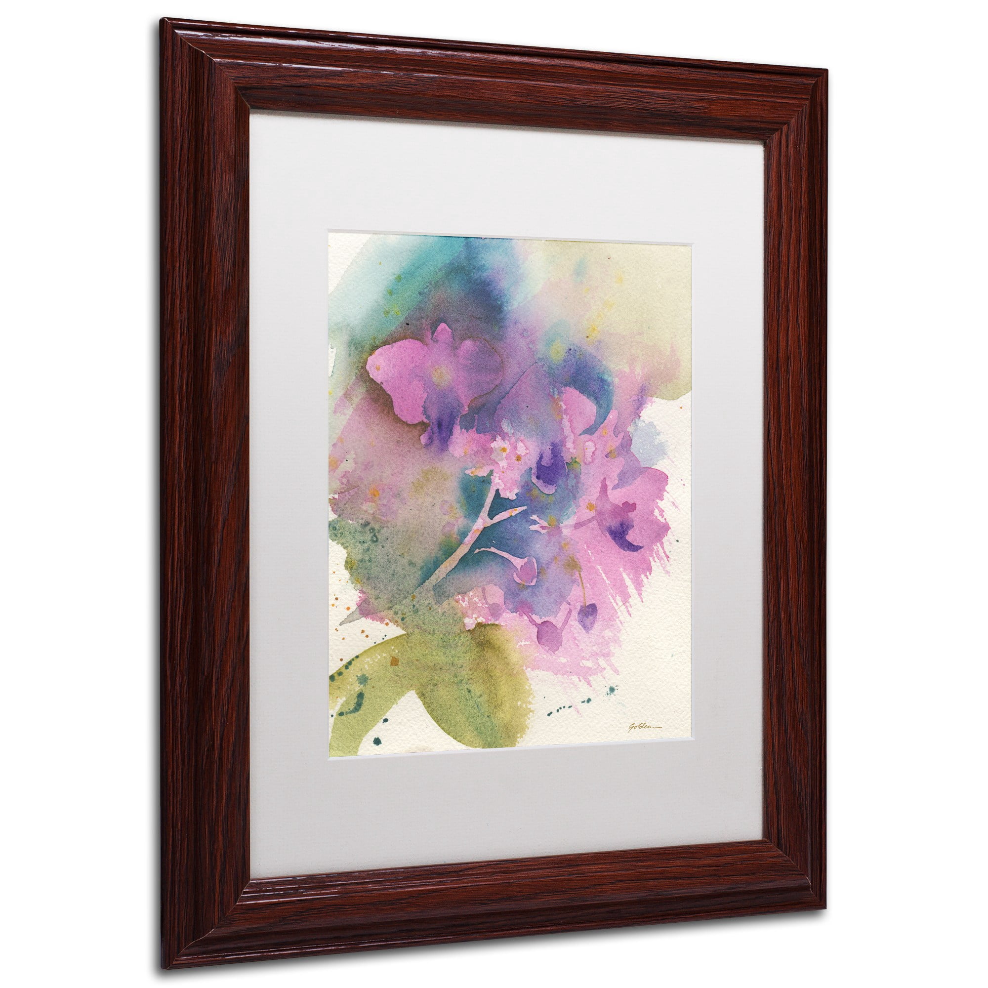 Trademark Fine Art "Orchid Dream" Canvas Art by Sheila Golden White Matte, Wood Frame