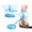 Blue, variant on Ferret Angel Wing Harness and Leash Set, Soft Plush Vest with Bell for Small Animal Outdoor Walking, Costume Style.