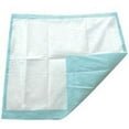 thumbnail image 2 of Underpad TotalDry 30 X 36 Inch Disposable Fluff / Polymer Heavy Absorbency - 30 Count, 2 of 3