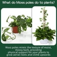 thumbnail image 3 of 8 Pieces Moss Pole Coir Moss Pole Stick Stackable Plant Stakes Monstera Plant Support Plastic Sphagnum Moss Pole, 3 of 7