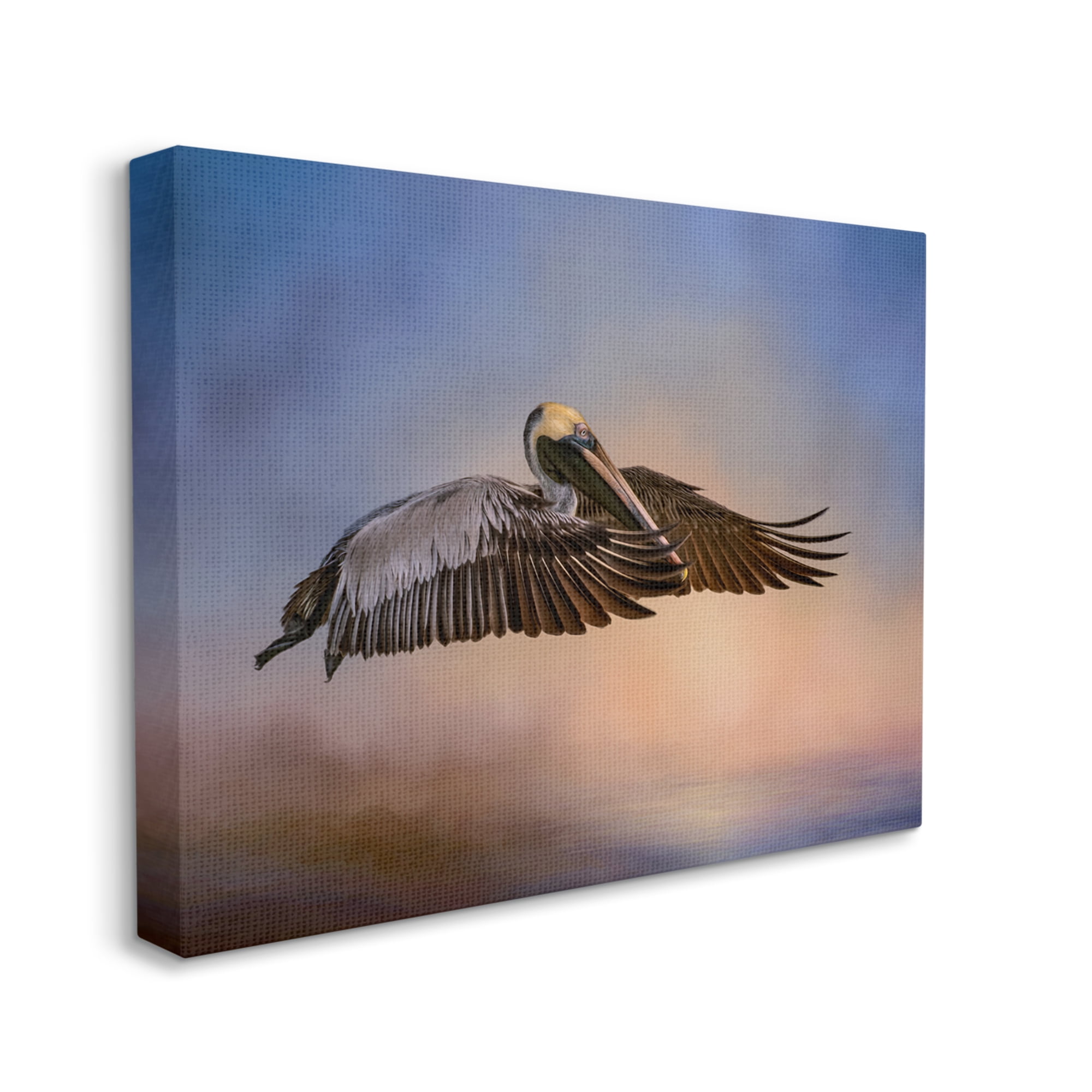 Stupell Industries Graceful Flyer Pelican Portrait Animals & Insects Photography Gallery Wrapped Canvas Print Wall Art, 30 x 24