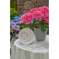 thumbnail image 2 of Mainstays Basic Bell Planter 8 inch White, Classic Design with Attached Tray Durable Weather Resistant Matte Finish, 2 of 4