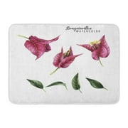 GODPOK White Flower Bougainvillea and Leaves Watercolor for Wedding Birthday and Other Holiday and Summer Rose Rug Doormat Bath Mat 23.6x15.7 inch