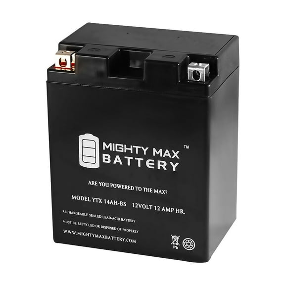 Polaris Sportsman Battery